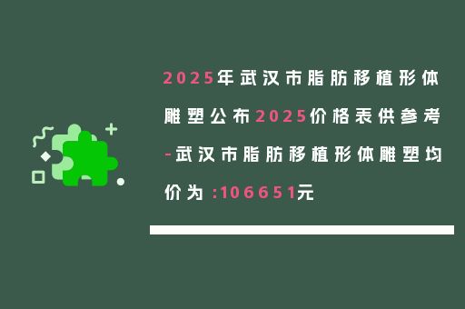 2025年武漢市脂肪移植形體雕塑公布2025價格表供參考-武漢市脂肪移植形體雕塑均價為：106651元