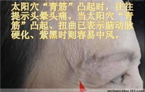 [轉(zhuǎn)載]青筋診法全集