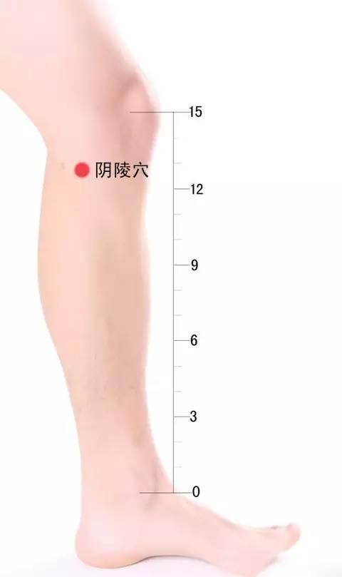 按摩四大穴位可為你祛濕化痰減肥