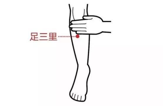 按摩四大穴位可為你祛濕化痰減肥