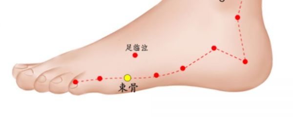 束骨穴位的準(zhǔn)確位置圖 束骨穴位圖 束骨穴