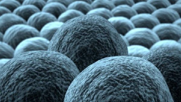 糖水減肥真的有效果嗎？