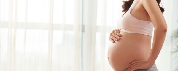 孕期怎么按摩乳房催乳 孕期乳房按摩有哪些好處 孕期乳房護理從什么時候開始
