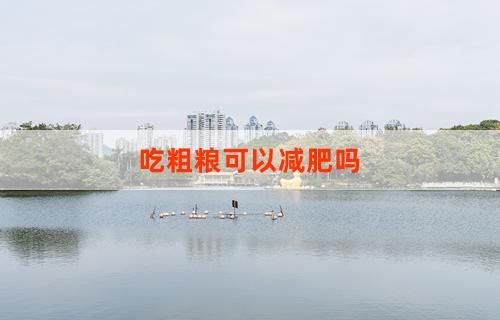吃粗糧可以減肥嗎