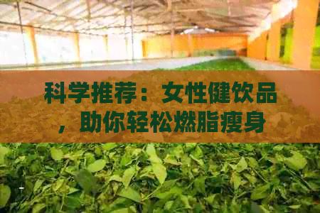 科學(xué)推薦：女性健飲品，助你輕松燃脂瘦身