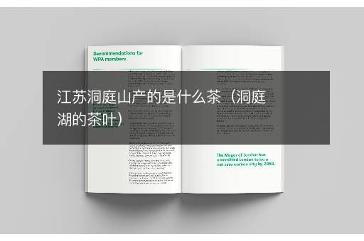 江蘇洞庭山產(chǎn)的是什么茶（洞庭湖的茶葉）