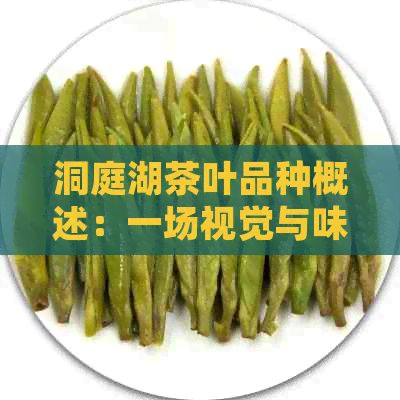 洞庭湖茶葉品種概述：一場視覺與味蕾的宴