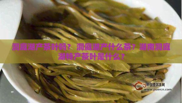 洞庭湖產(chǎn)茶葉嗎？ 洞庭湖產(chǎn)什么茶？湖南洞庭湖特產(chǎn)茶葉是什么？