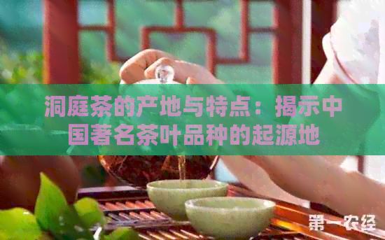 洞庭茶的產(chǎn)地與特點：揭示中國著名茶葉品種的起源地
