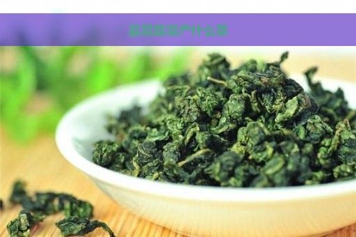 縣洞庭湖產(chǎn)什么茶