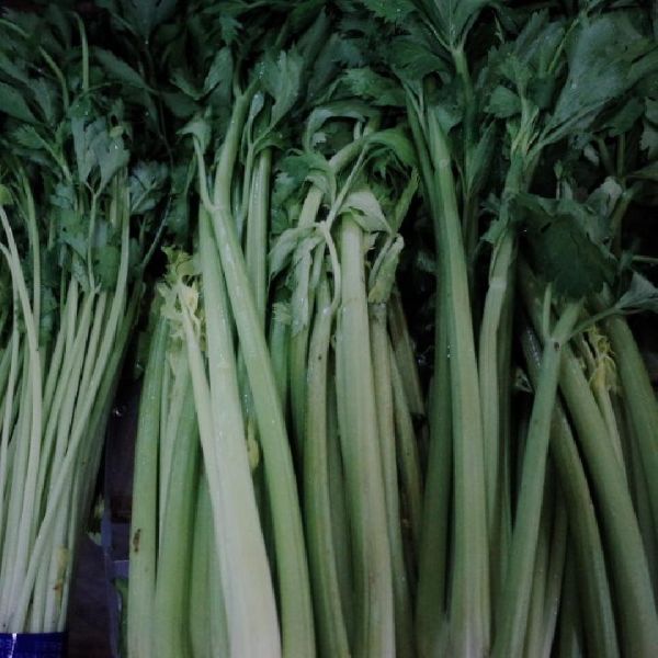 西芹汁可以減肥嗎 西芹汁什么時候喝最好