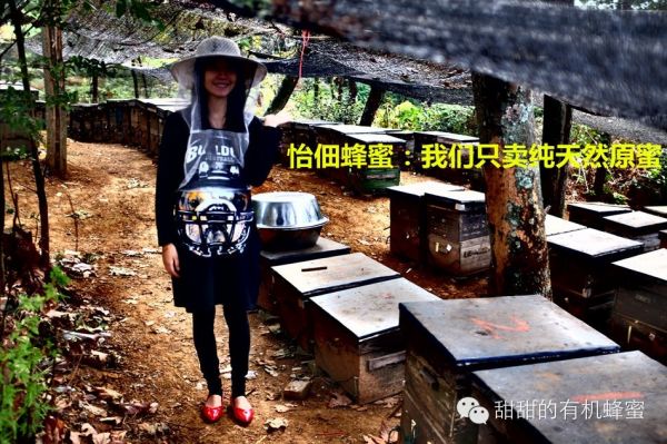 4道蜂蜜減肥食譜，讓你狂瘦不止!!