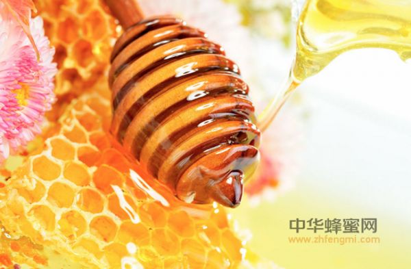 4道蜂蜜減肥食譜，讓你狂瘦不止!!