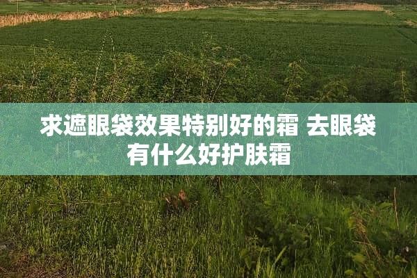 求遮眼袋效果特別好的霜 去眼袋有什么好護(hù)膚霜