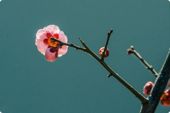 寶貝計(jì)劃丨35歲以上的女性想懷孕，這些事情得注意了！