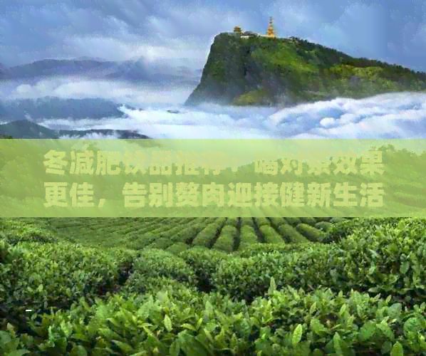 冬減肥飲品推薦：喝對(duì)茶效果更佳，告別贅肉迎接健新生活