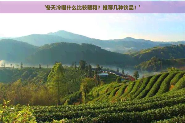 '冬天冷喝什么比较暖和？推荐几种饮品！'