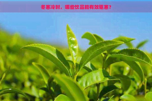 冬寒冷时，哪些饮品能有效驱寒？