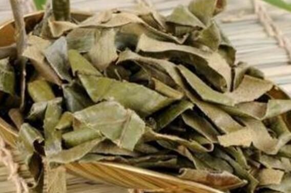 枇杷茶的功效與作用及禁忌