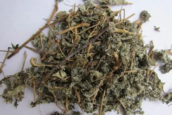 莓茶的功效與作用及禁忌有哪些，莓茶的好處和副作用
