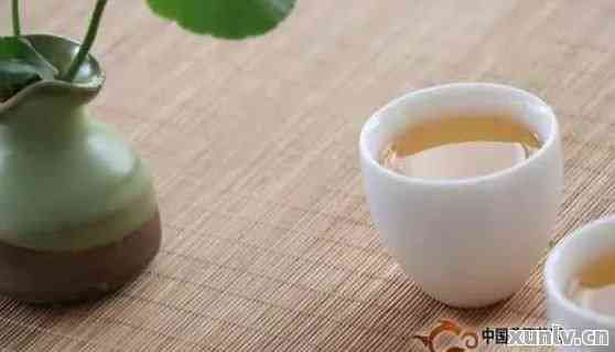減脂普洱茶怎么泡好喝竅門