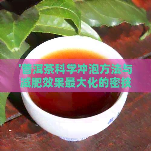 '普洱茶科學沖泡方法與減肥效果更大化的密技'