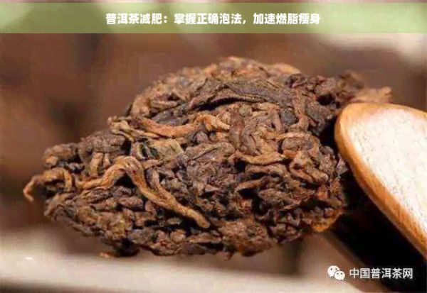 普洱茶减肥：掌握正确泡法，加速燃脂瘦身