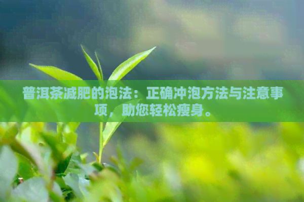 普洱茶减肥的泡法：正确冲泡方法与注意事项，助您轻松瘦身。