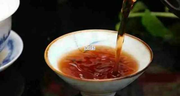 減脂普洱茶的正確沖泡方法：如何泡出喝的味道