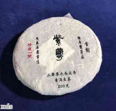 減脂普洱茶的正確沖泡方法：如何泡出喝的味道