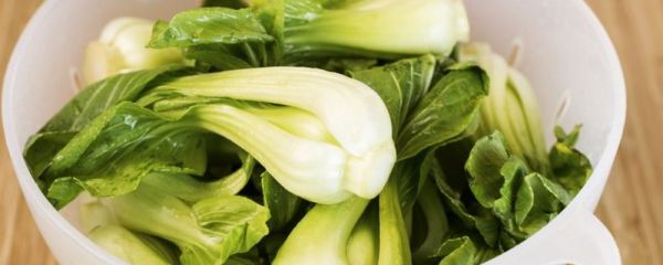 吃水煮白菜可以排毒減肥嗎 女性怎樣通過排毒減肥 排毒減肥法適合哪些人群