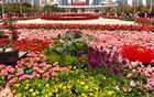 定了！廣州全市：正式官宣！涉及11區(qū)！