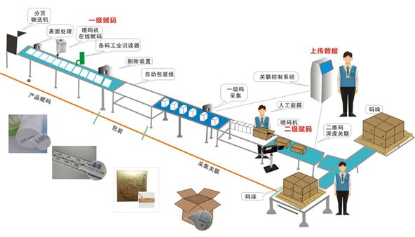 噴碼流程.jpg