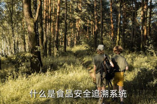 什么是食品安全追溯系统