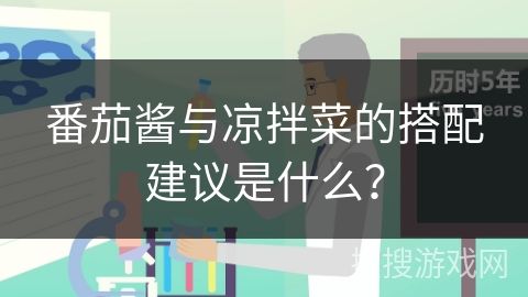 番茄醬與涼拌菜的搭配建議是什么？