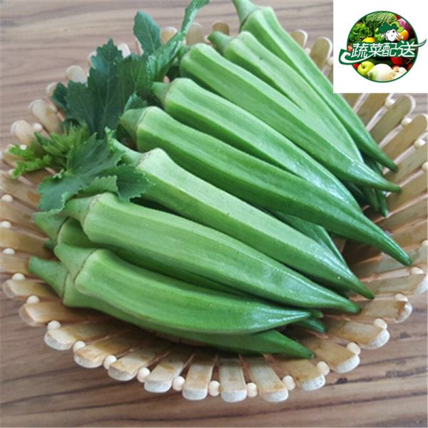 公明蔬菜配送