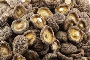 光明街道企業(yè)食材配送