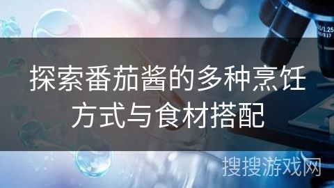 探索番茄醬的多種烹飪方式與食材搭配