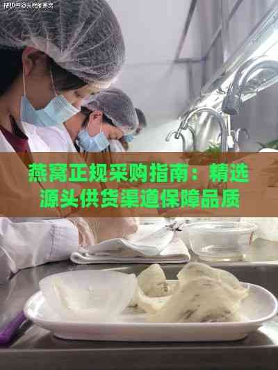 燕窩正規(guī)采購指南：精選源頭供貨渠道保障品質(zhì)