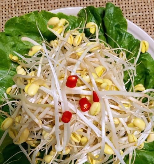 素食火鍋，營養(yǎng)美味又健康（自制素食火鍋的秘訣和小貼士）