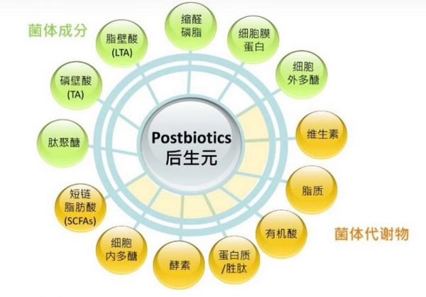后生元是什么，好處？跟益生菌、益生元的區(qū)別？
