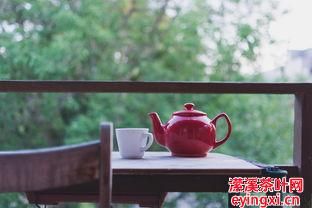 碧生源常潤(rùn)茶成分表，碧生源常潤(rùn)茶的成分