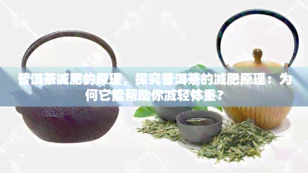 普洱茶減肥的原理，探究普洱茶的減肥原理：為何它能幫助你減輕體重？