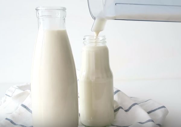 【Vegan素食】自制燕麥奶的做法