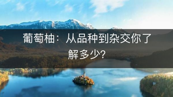 葡萄柚：從品種到雜交你了解多少？