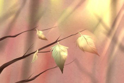 柚子的花語(yǔ)和寓意