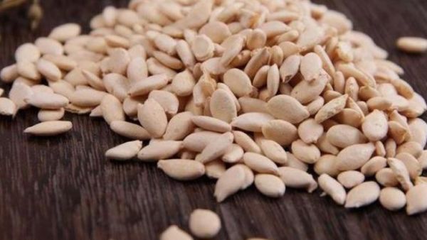 冬瓜子的功效與作用、禁忌和食用方法