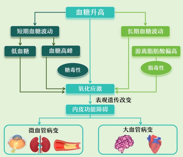 點(diǎn)擊查看原始圖片