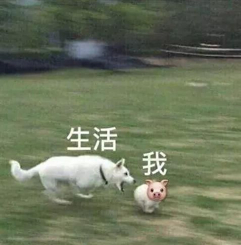 20個(gè)減肥后才明白的道理