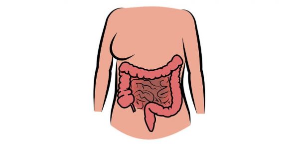 Intestinos